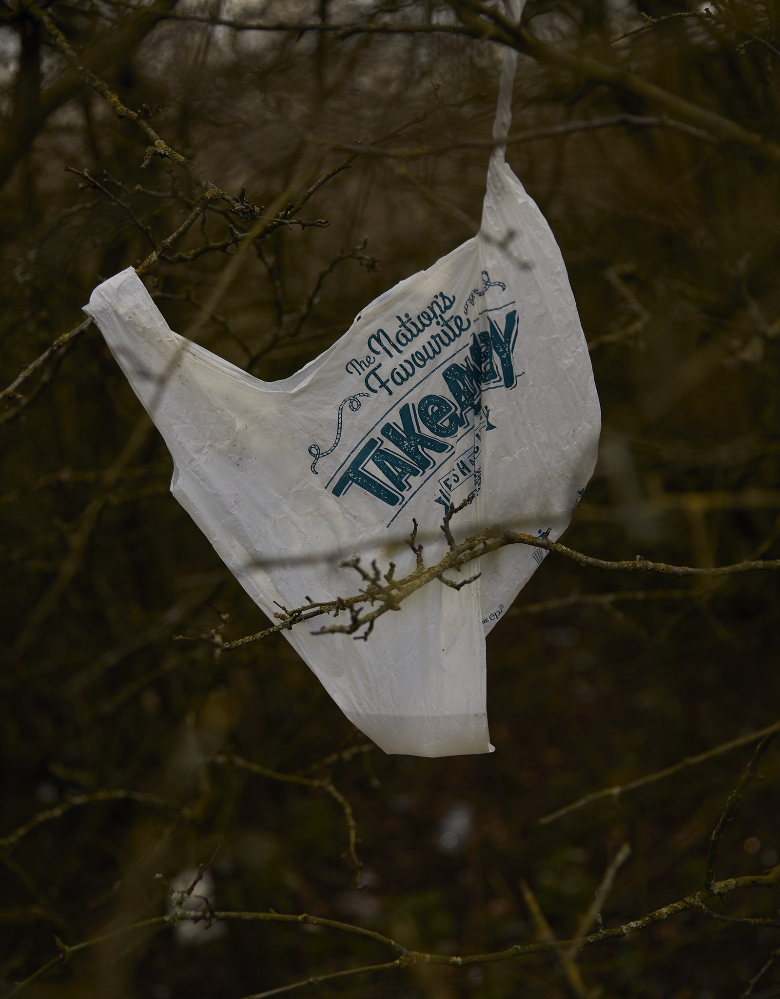 Plastic carrier bag, The Nations Favourite Takeaway Fish and Chips